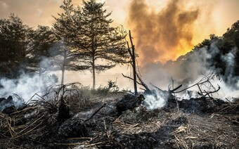 Оценка ущерба после стихийного бедствия в Сочи: отчет оценщика